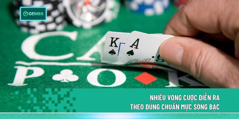 Nhiều vòng cược diễn ra theo đúng chuẩn mực sòng bạc